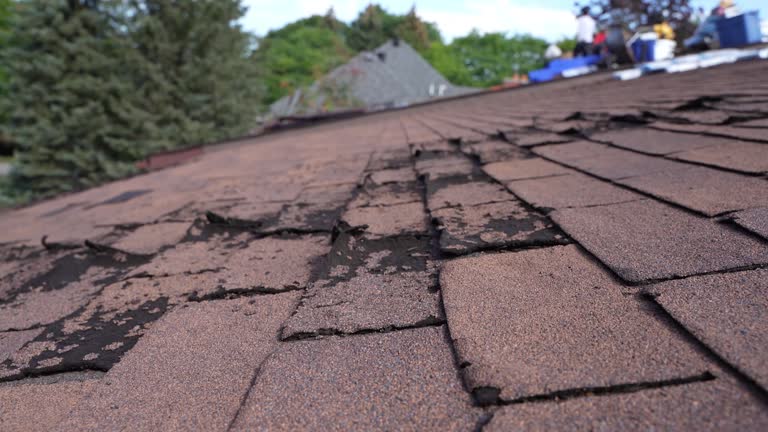 Best Rubber Roofing (EPDM, TPO)  in Vail, AZ